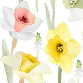 Pentik_Papierservietten_Osterglocken