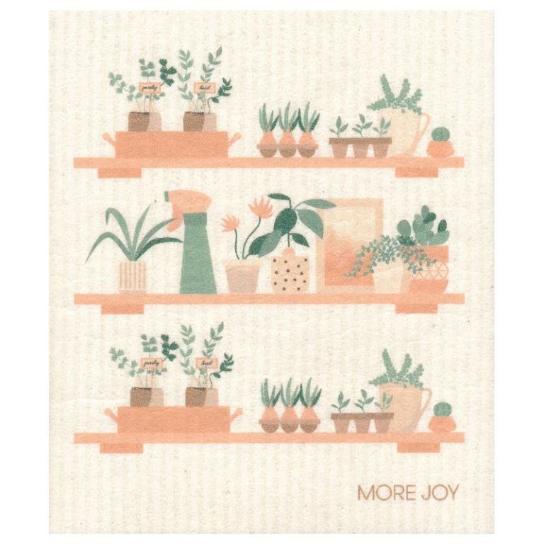 MoreJoy-Schwammtuch-Zimmerpflanzen-5037