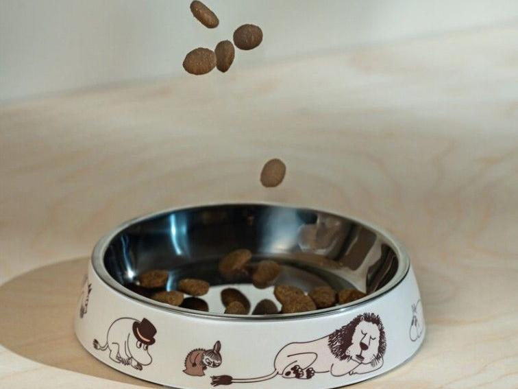 Katzen-Muurla-Moomin-for-Pets-Fressnapf-Moments-lifestyle