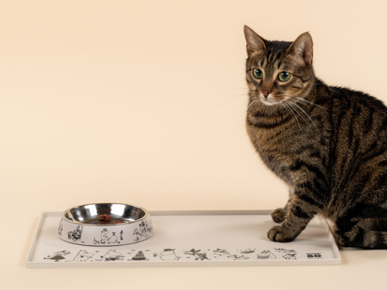 Mumins-80_Katzen_Fressnapf_Lifestyle
