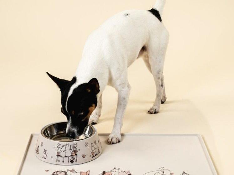Muurla-Mumin-for-Pets-Moments-Silikonunterlage-klein-&-Fressnapf-grösse-M