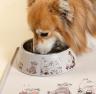 Muurla-Mumin-for-Pets-Silikonunterlage-60x48cm-1
