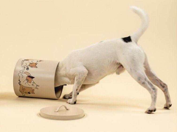 MUURLA_Moomin-Futter-Vorratsdose-19cm-lifestyle-1