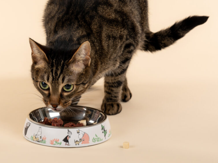 Muurla_Mumin-80_Katzen-Futternapf_weiss_4
