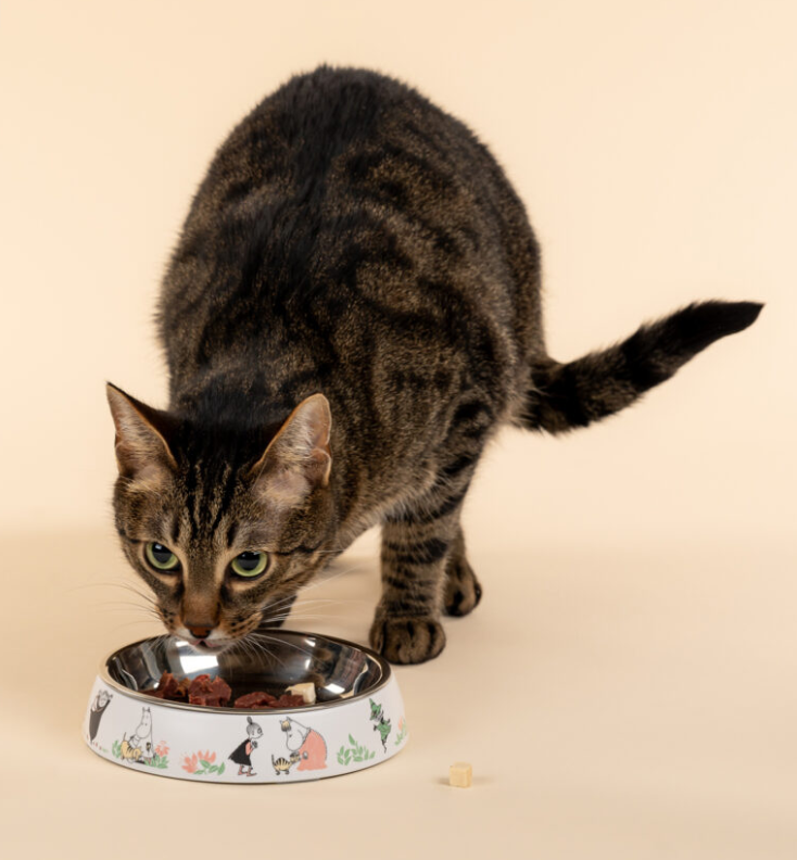Muurla_Mumin-80_Katzen-Futternapf_weiss_4