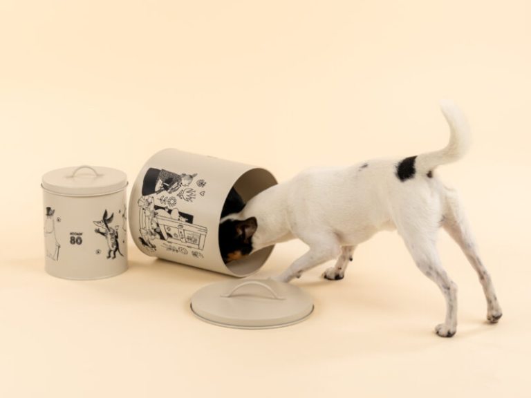 Muurla_Mumins-80_Futterdose_Moomin-for-pets_lifestyle