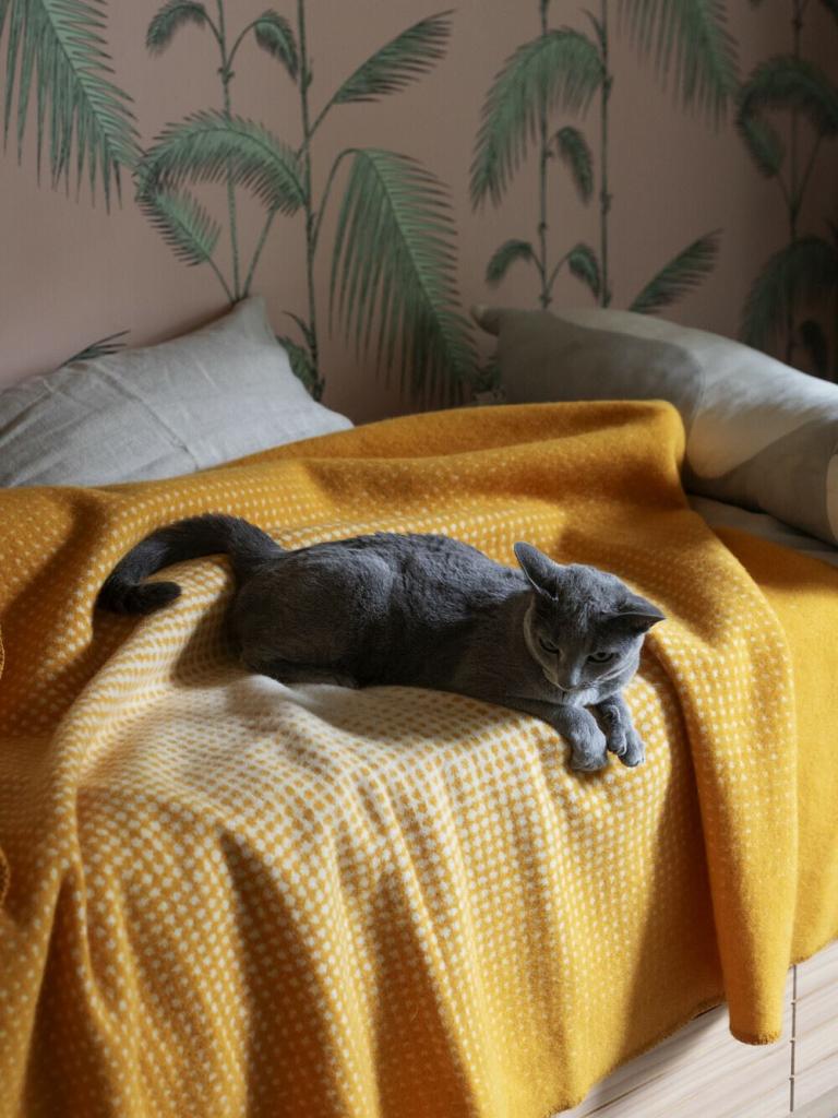 lapuankankurit_wolldecke_juhannus_orange